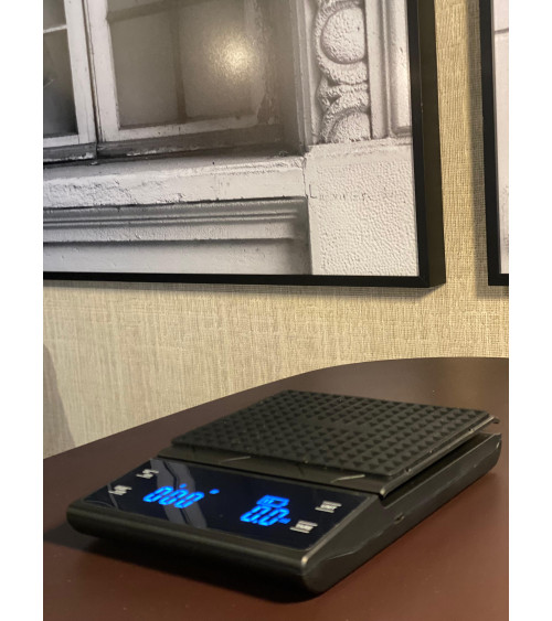 Balanza temporizadora