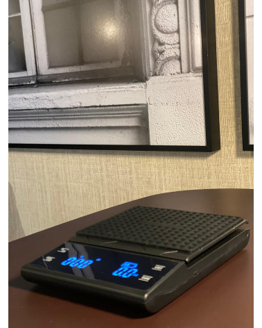 Balanza temporizadora