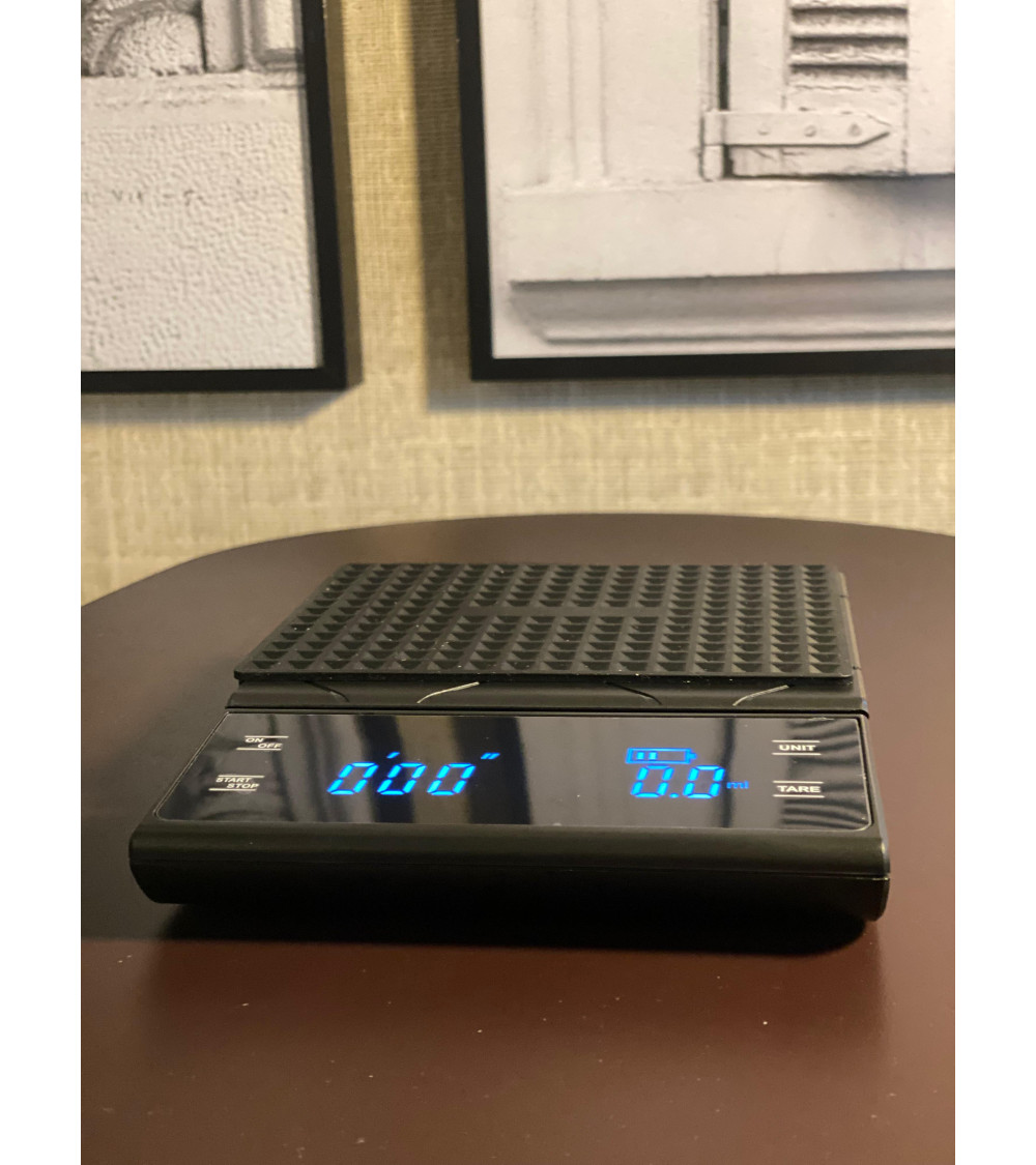 Balanza temporizadora