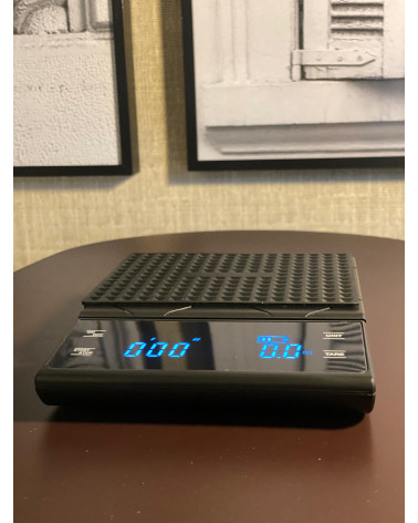 Balanza temporizadora