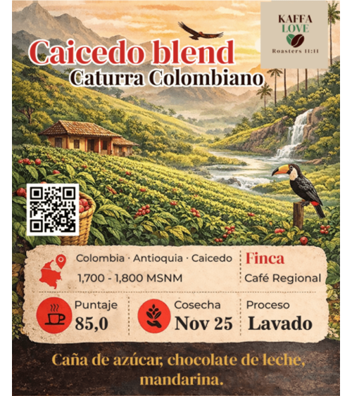 Caicedo Blend, Colombia